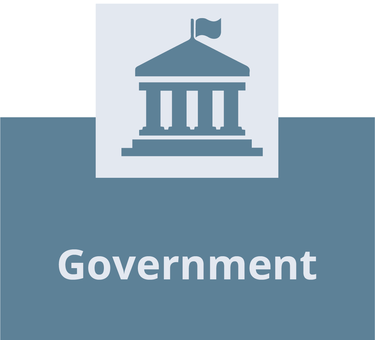 Government